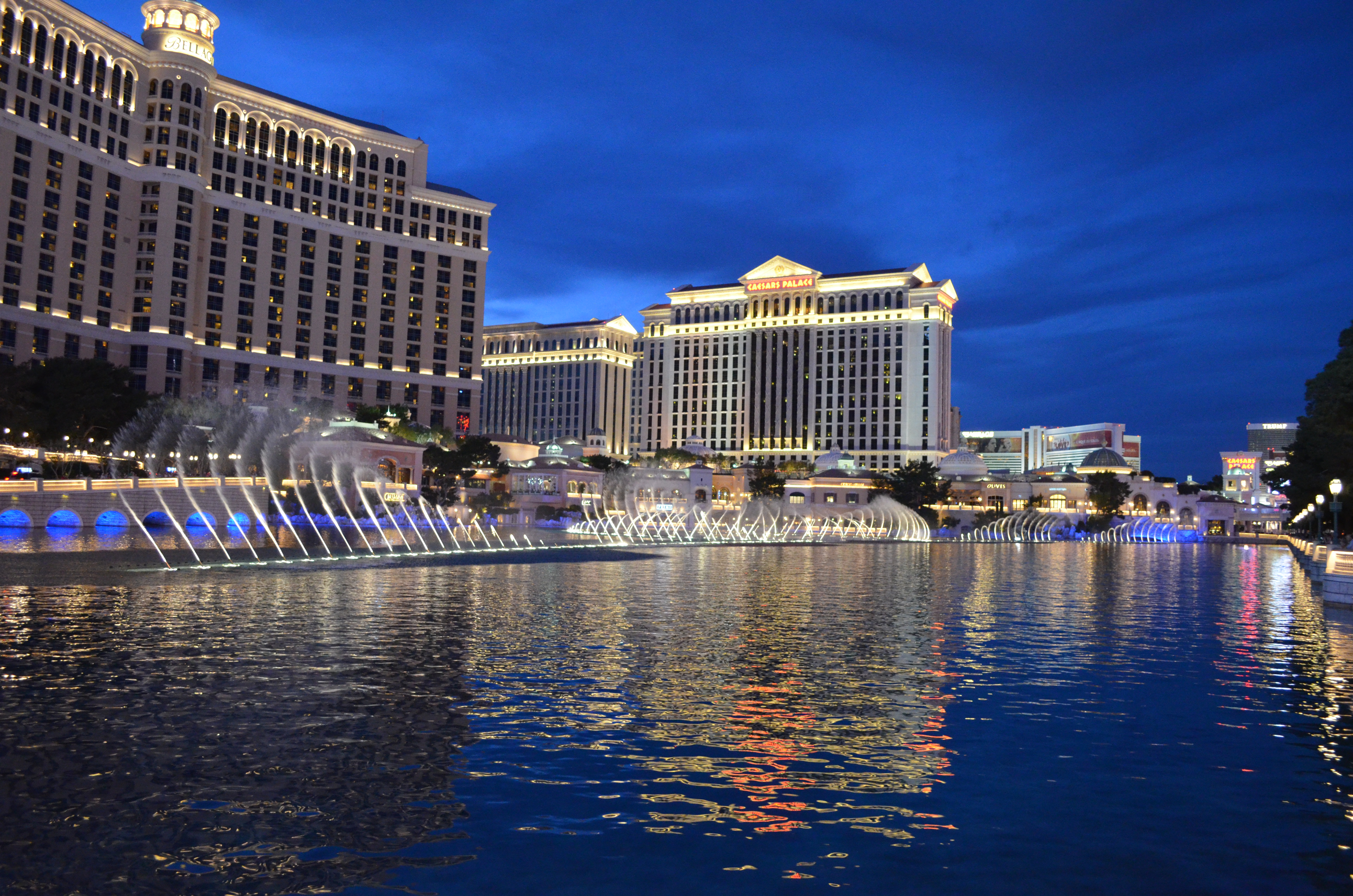 ./2016/04 - Las Vegas/Bellagio Fountains/DSC_0517.JPG